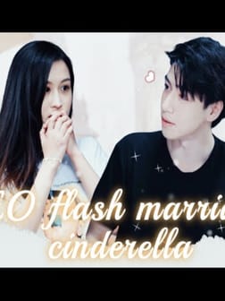 CEO flash marriage cinderella