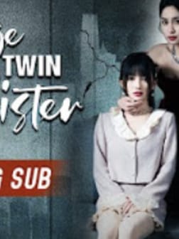 Revenge Of The Twin Sister